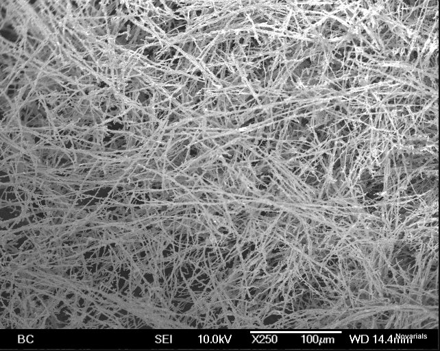 鎳納米線Nickel nanowires A200, Research grade