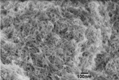 進口氫氧化鐵納米線粉末Iron oxyhydroxide nanowires