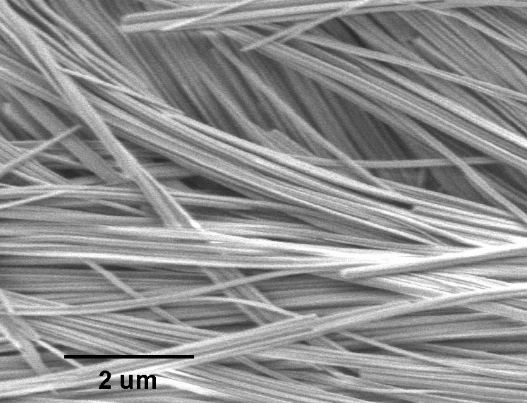 進口三鉬酸鈉銨納米線Sodium Ammonium Trimolybdate (NaNH4Mo3O10) Nanowires