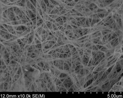 進口纖維素納米纖維Cellulose Nanofibers (from Bacteria),纖維素納米纖維薄膜Cellulose Nanofiber Membranes