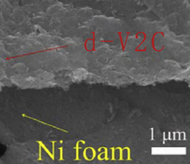 泡沫鎳負(fù)載單層V2C-Mxene