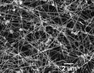 進口碳化硅納米線NovaWire-SiC-100-RD