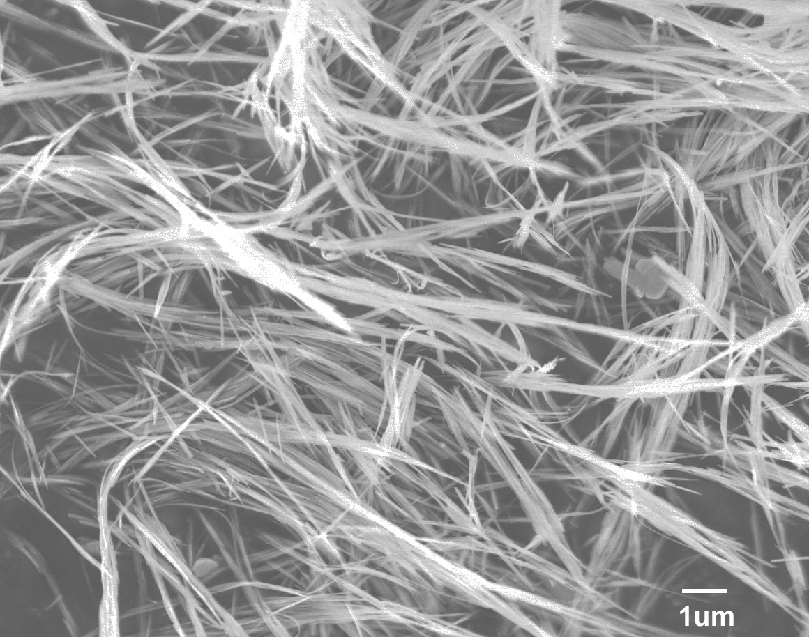 進口氫氧化鐵納米線粉末Iron Oxyhydroxide Nanowires A50